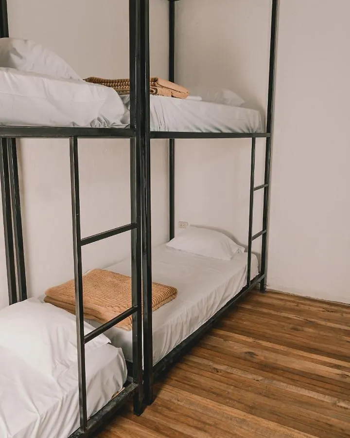Wild Monkey Hostel Cuenca