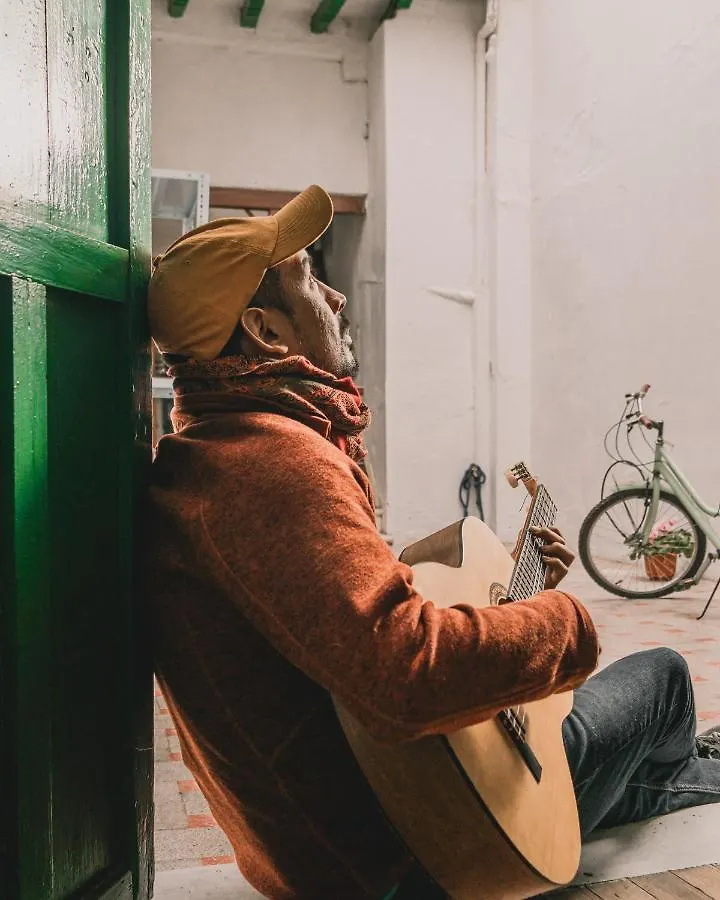Wild Monkey Hostel Cuenca Ecuador