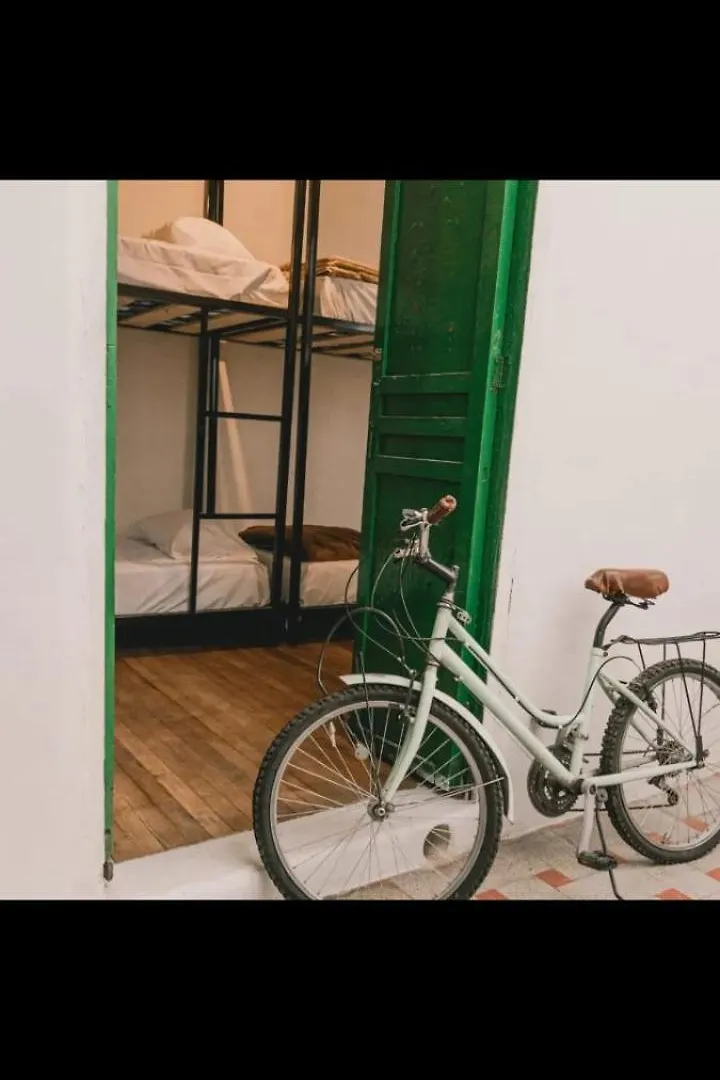 Wild Monkey Hostel Cuenca